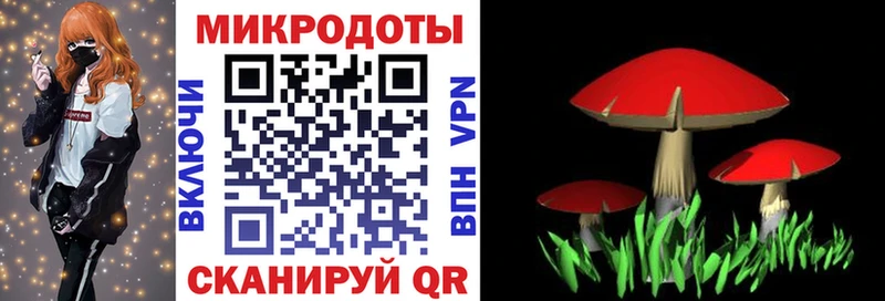 Галлюциногенные грибы Magic Shrooms  сайты даркнета как зайти  Тутаев  гидра ССЫЛКА 